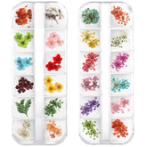 Teenitor flores deshidratadas para uñas, 24 colores, pétalos delicados para diseños hermosos