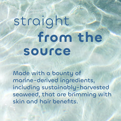 Seaweed Bath Co. Balance aroma de eucalipto y menta experiencia fresca