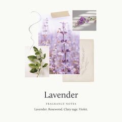 Aroma de lavanda de Thymes para relajar la rutina diaria.