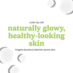 Timeless Skin Care Squalane Oil, frasco sin fragancia, ideal para rutinas sensibles.