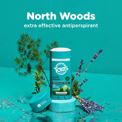 Notas de ciprés, lavanda y cedro en North Woods, aroma fresco.