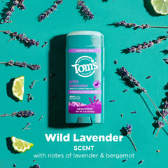 Tom’s of Maine desodorante lavanda, prueba dermatológica sin aluminio