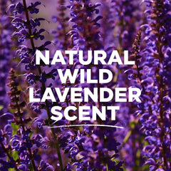Tom's of Maine Desodorante Lavanda Stick: zinc ricinoleato atrapa olores causados por bacterias.