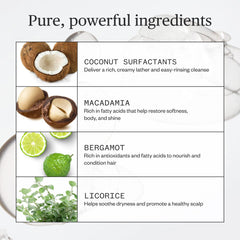 Ursa Major Go Easy con ingredientes naturales nutre sin irritar el cuero cabelludo.