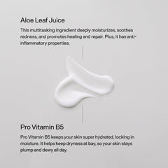 Versed aloe vera jugo presente ayuda a calmar y mantener la hidratación.