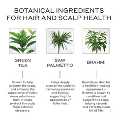 Aplicación en el cabello con Zenagen Revolve para mayor grosor percibido.