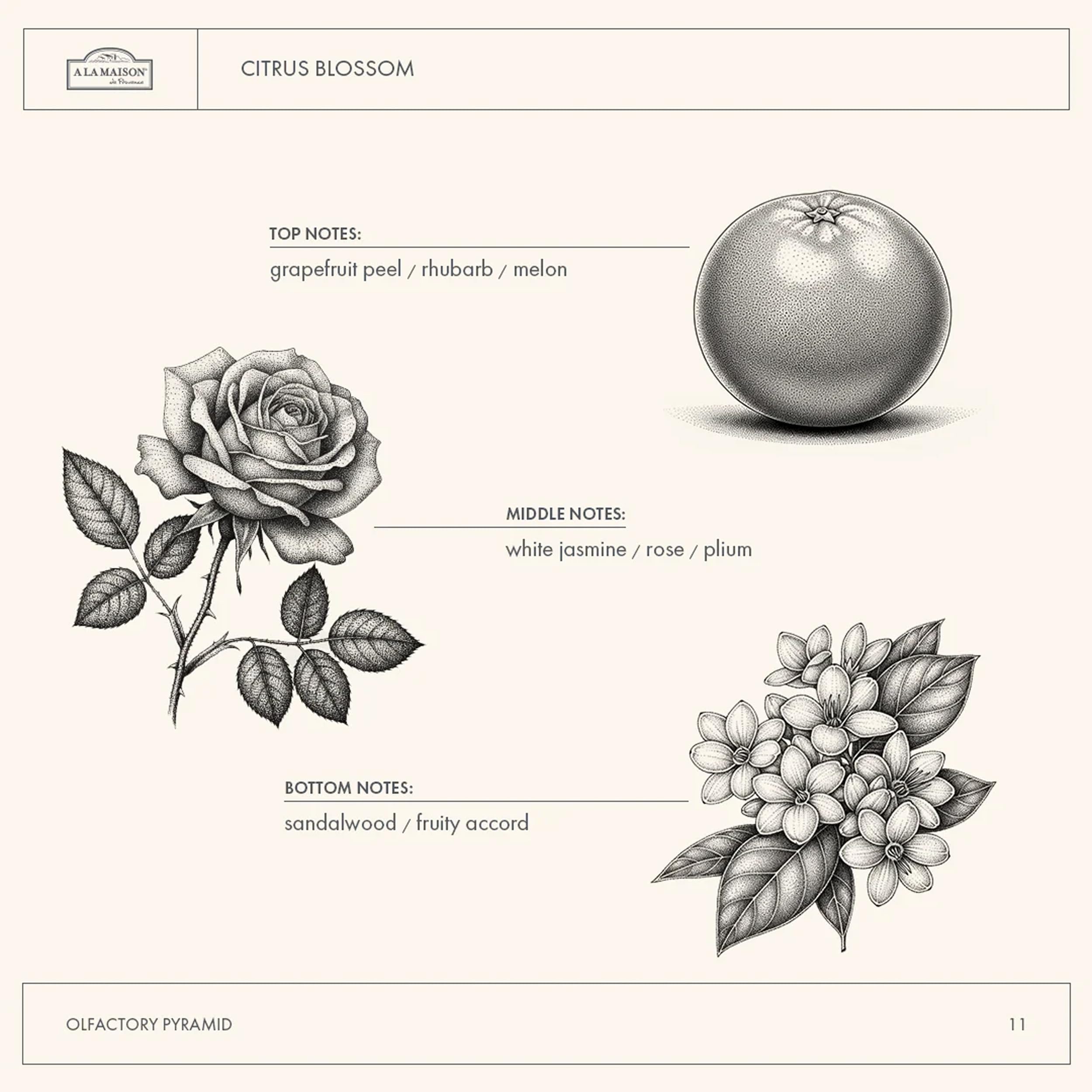 A LA MAISON Citrus Blossom gel de ducha, envase reciclable para un cuidado sostenible
