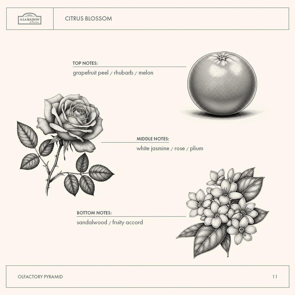 A LA MAISON Citrus Blossom gel de ducha, envase reciclable para un cuidado sostenible