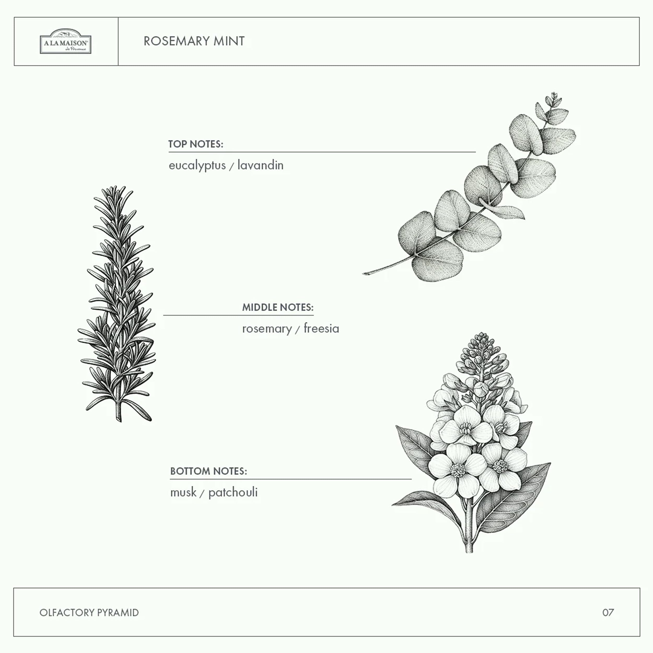Aroma refrescante A LA MAISON – mejora la experiencia de lavado.