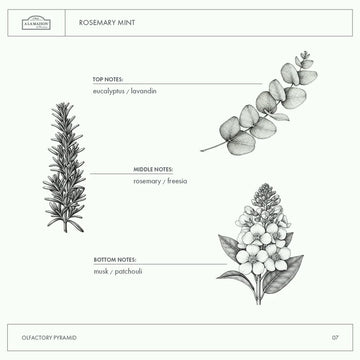 Aroma refrescante A LA MAISON – mejora la experiencia de lavado.