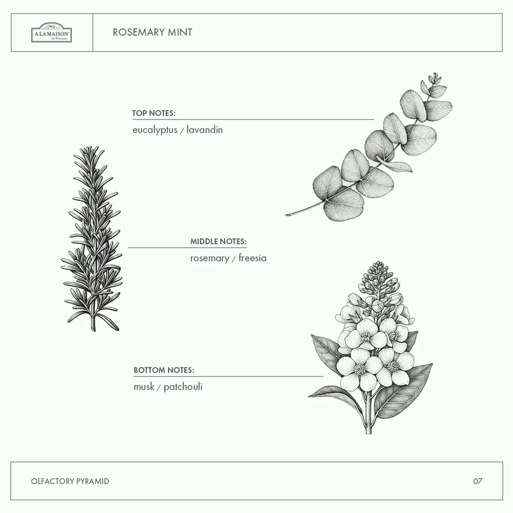 Aroma refrescante A LA MAISON – mejora la experiencia de lavado.