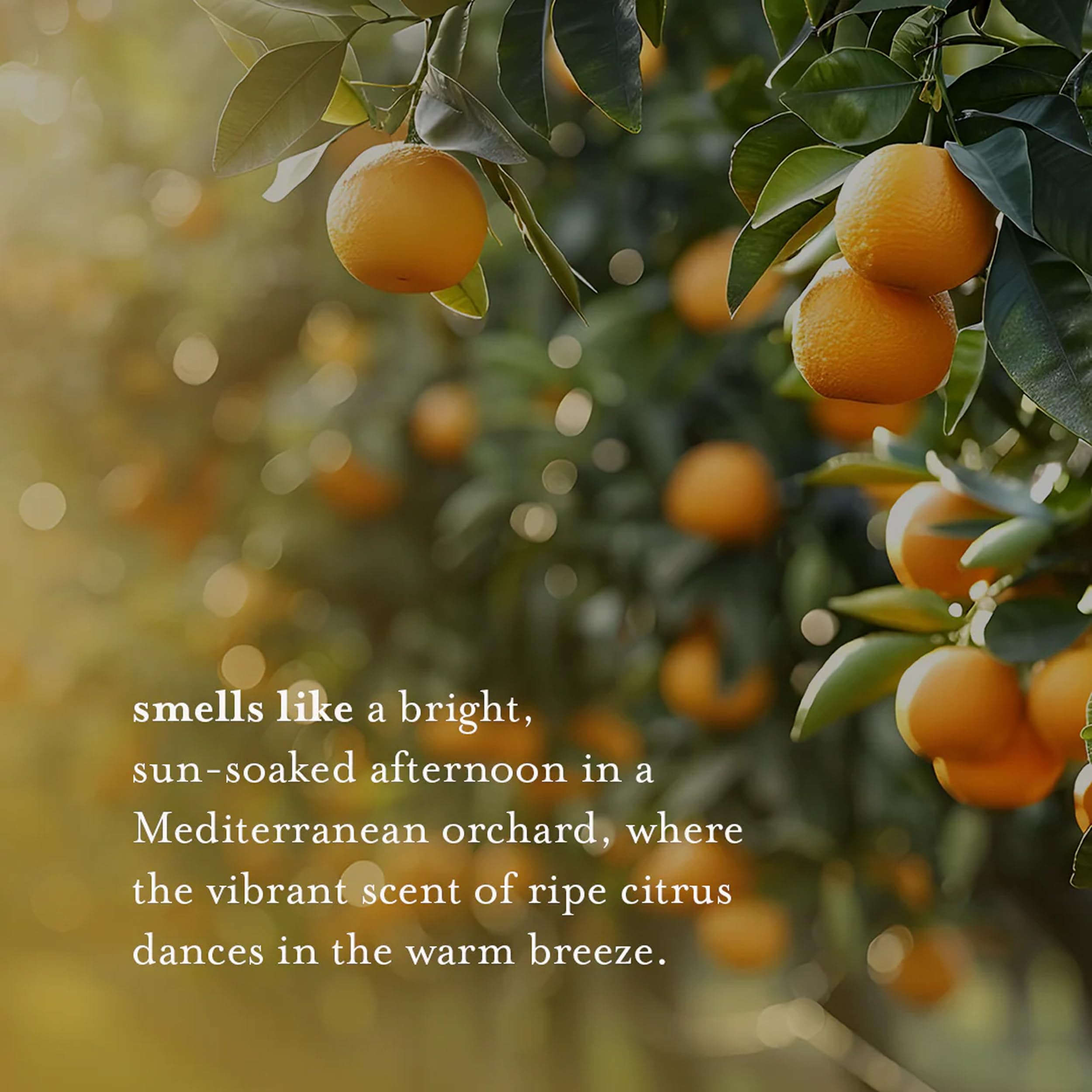 A LA MAISON jabon manos Citrus Blossom, fragancia cítrica que perfuma la cocina.