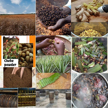 Aceite despertar del cuero cabelludo África Occidental: aplicación suave y masaje beneficioso.