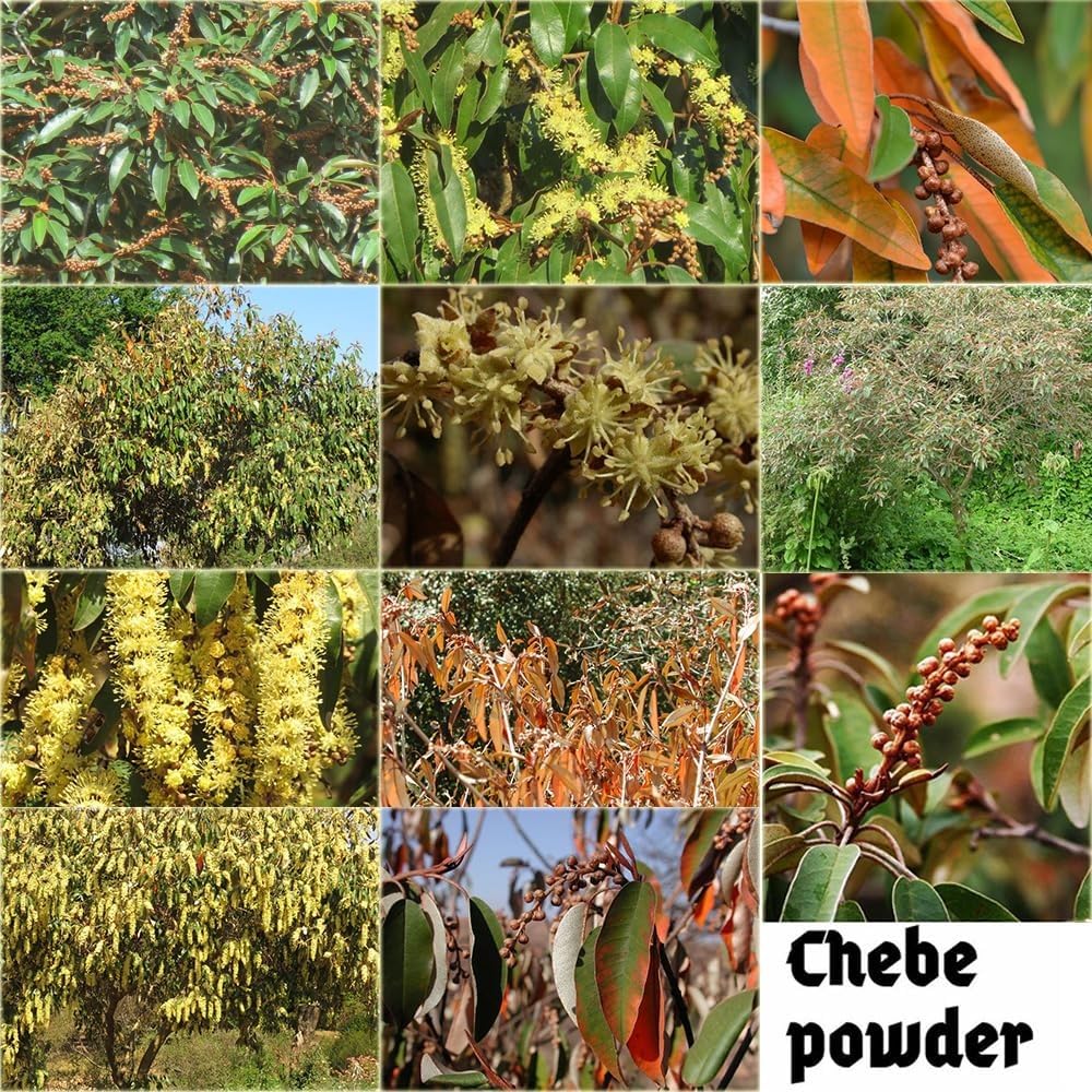 Aceite despertar del cuero cabelludo África Occidental: aroma herbáceo que acompaña el cuidado.