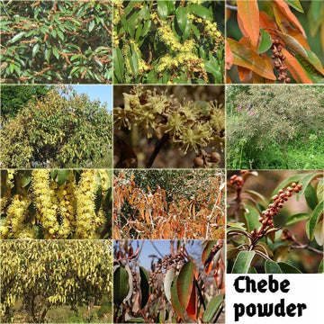 Aceite despertar del cuero cabelludo África Occidental: aroma herbáceo que acompaña el cuidado.