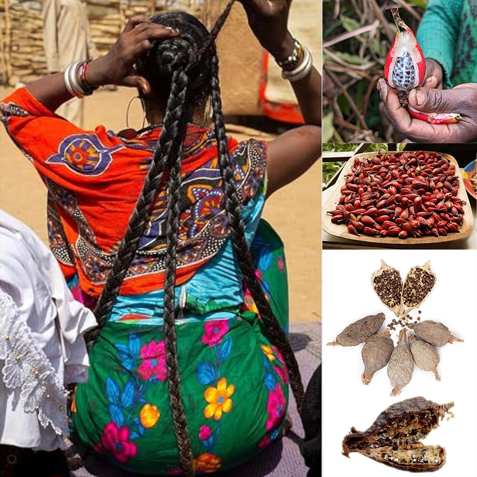 Aceite despertar del cuero cabelludo África Occidental: ingredientes clave para el cuidado capilar.