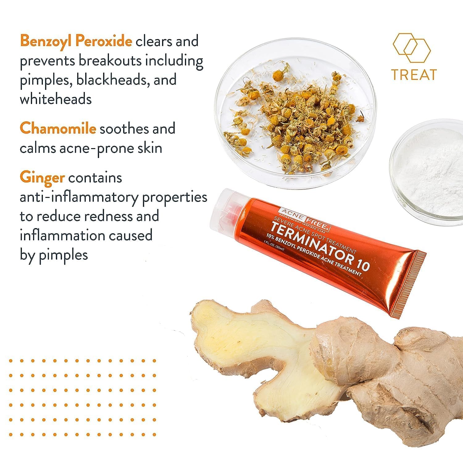 Ingrediente jengibre en AcneFree Terminator 10 para posibles rojeces.