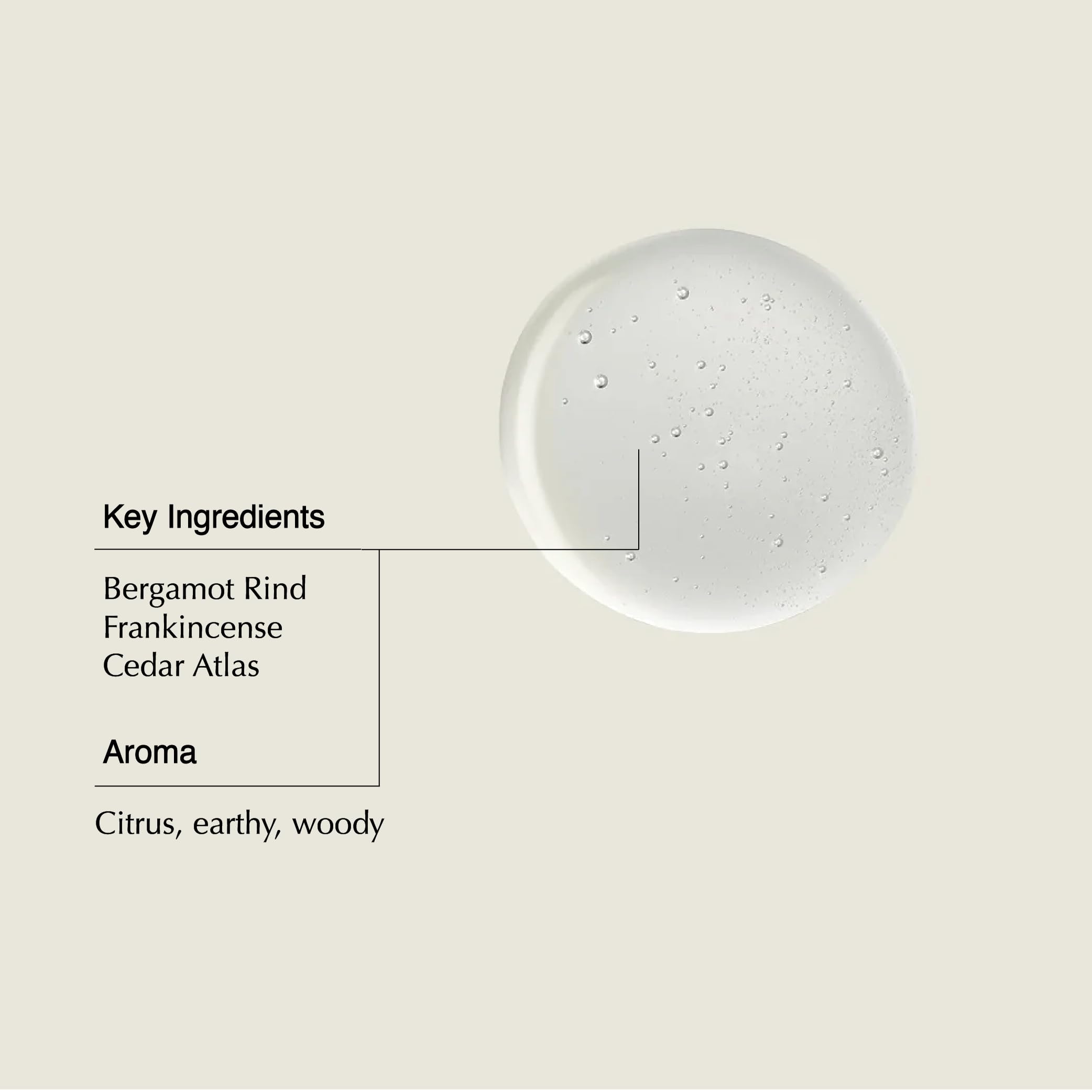 Aesop Acondicionador: botella visible, cabello más suave tras el lavado.