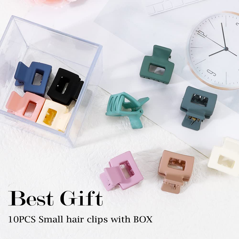 AHONEY estuche rígido incluido, 10 clips listos para regalo o almacenamiento.