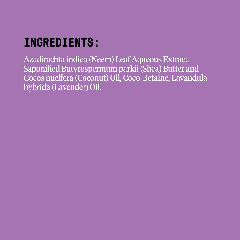 Alaffia Everyday Shea ingredients highlight fair trade shea, neem, and coconut oils.