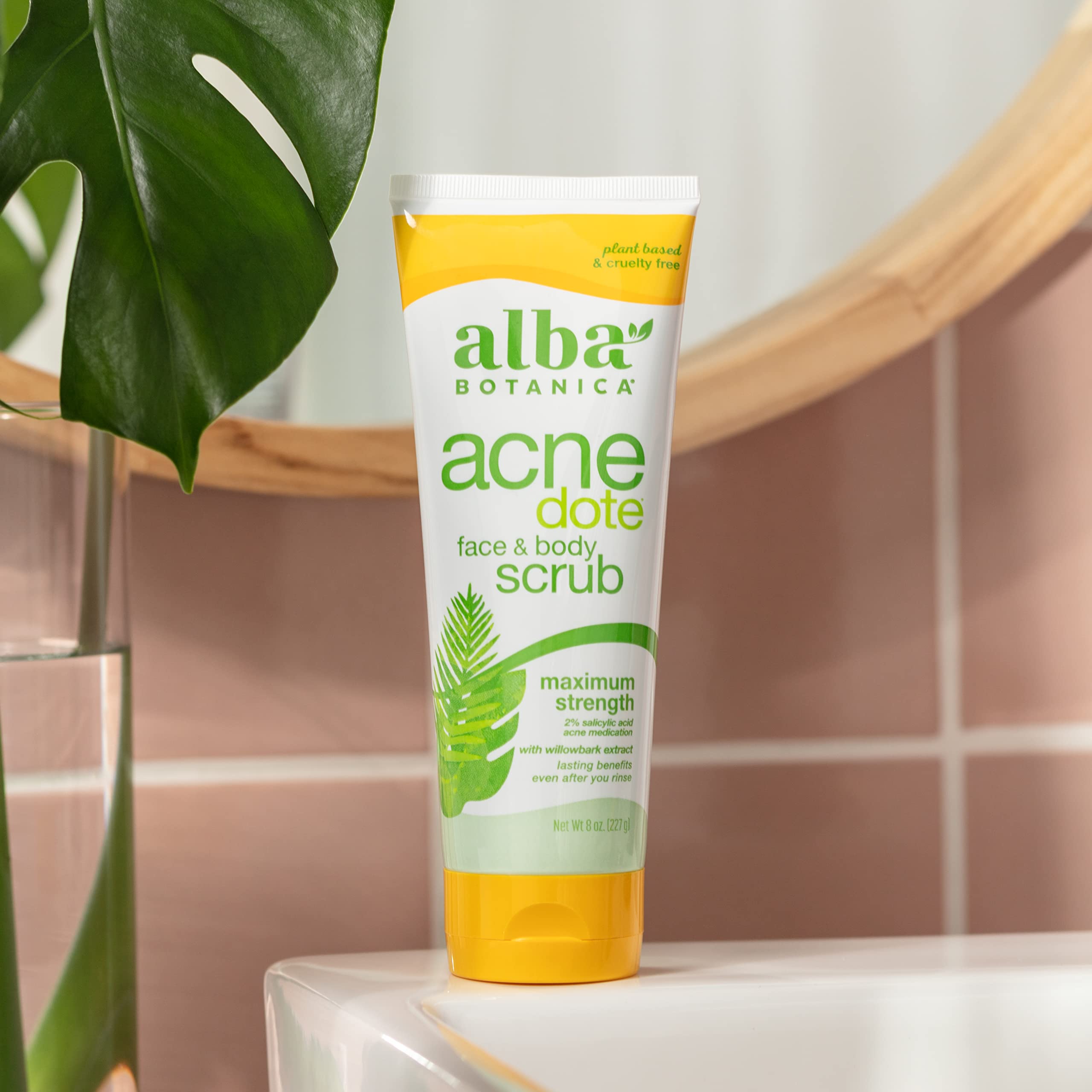 Ingredientes botánicos de Acnedote para exfoliación suave y cuidado.