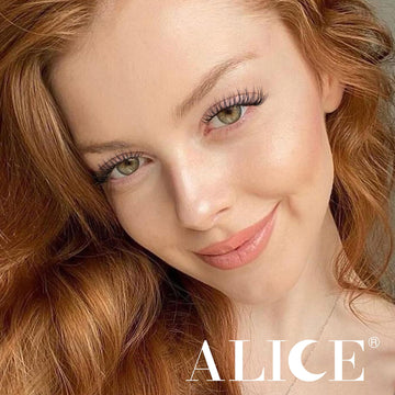ALICE caja del kit, presentación ordenada para empezar