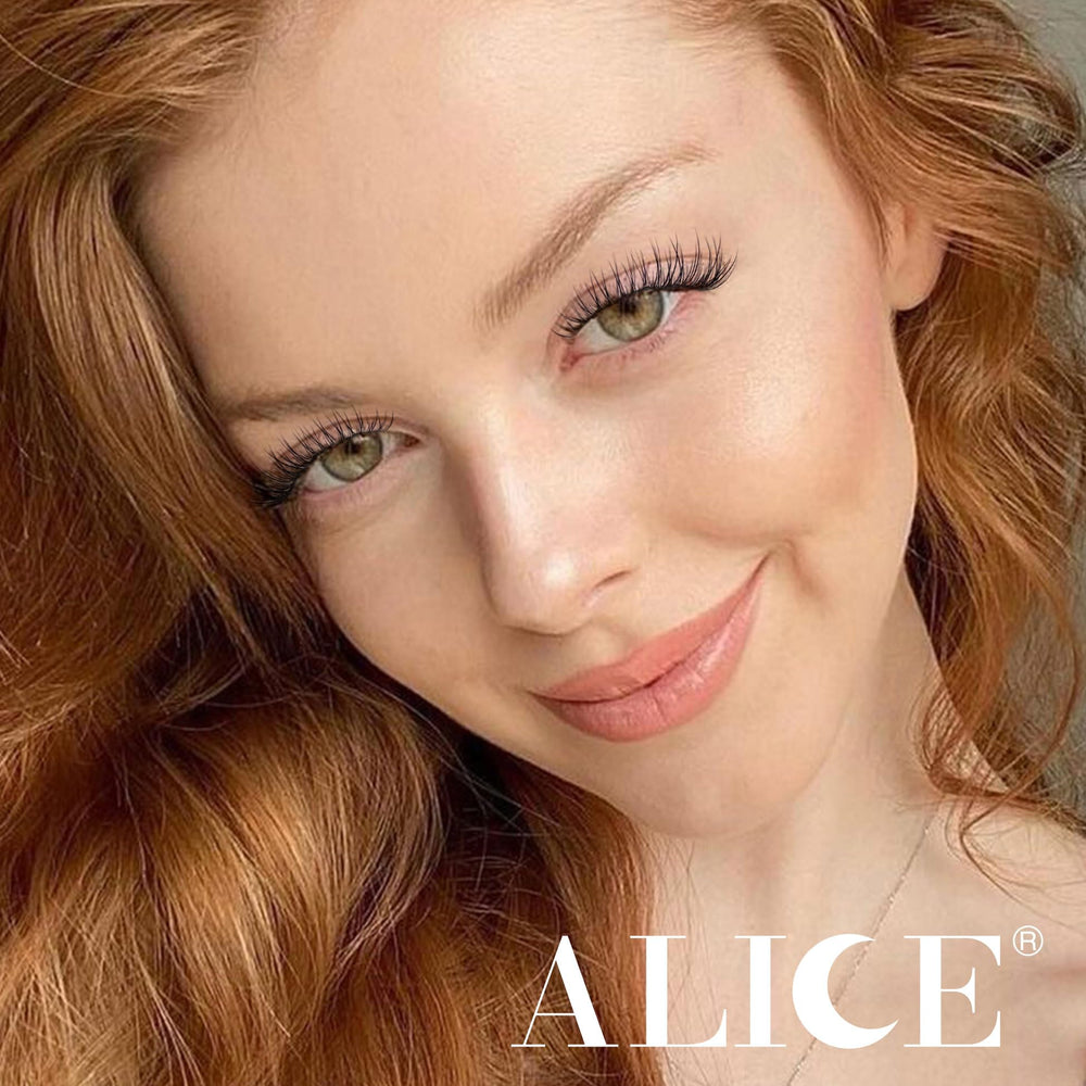 ALICE caja del kit, presentación ordenada para empezar
