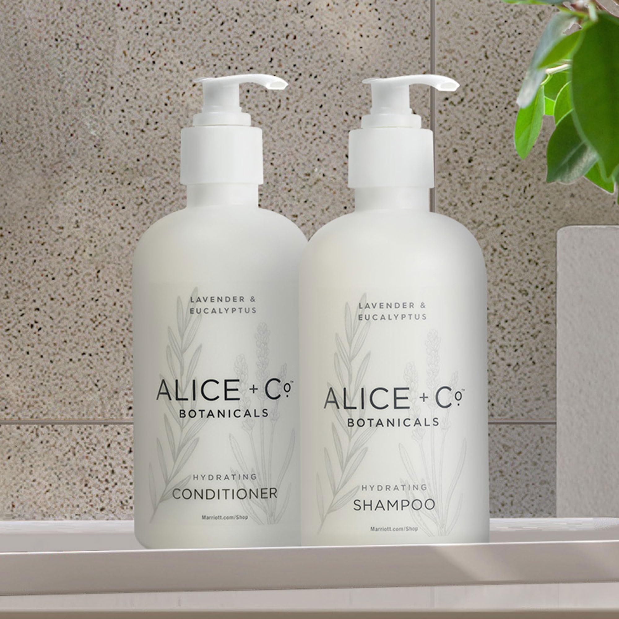 Alice + Co. acondicionador lavanda eucalipto, botella de 8.5 oz para hidratación ligera