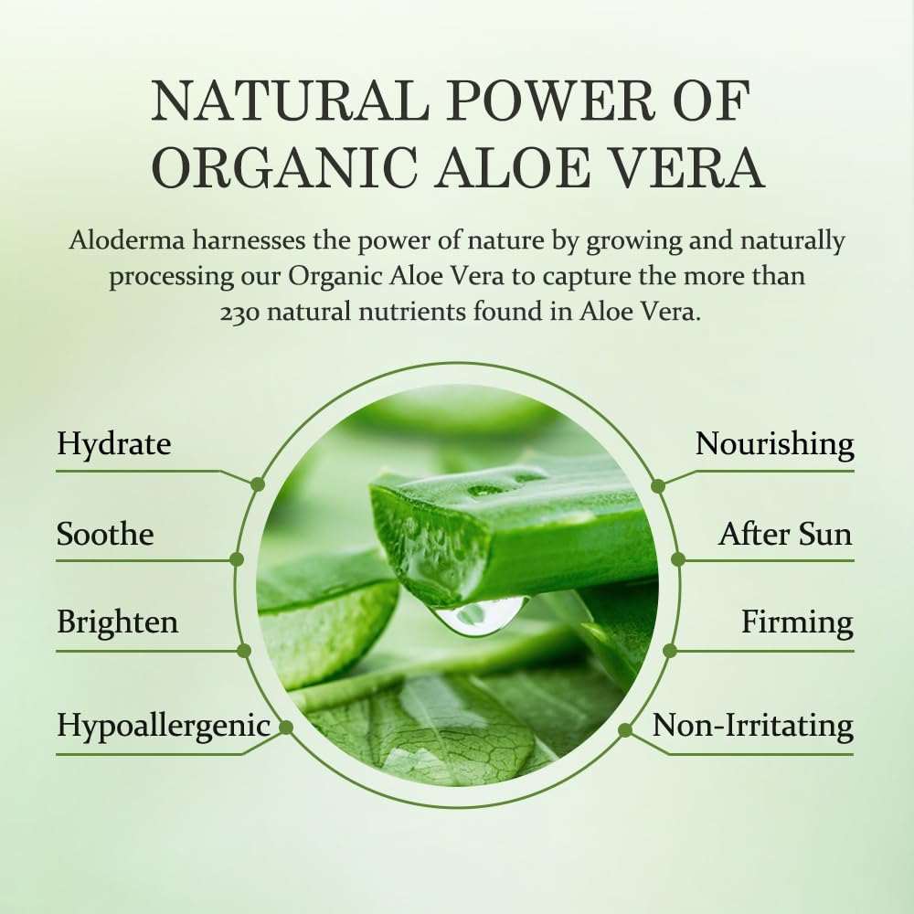 Finca orgánica de aloe vera, cultivo responsable para la piel.