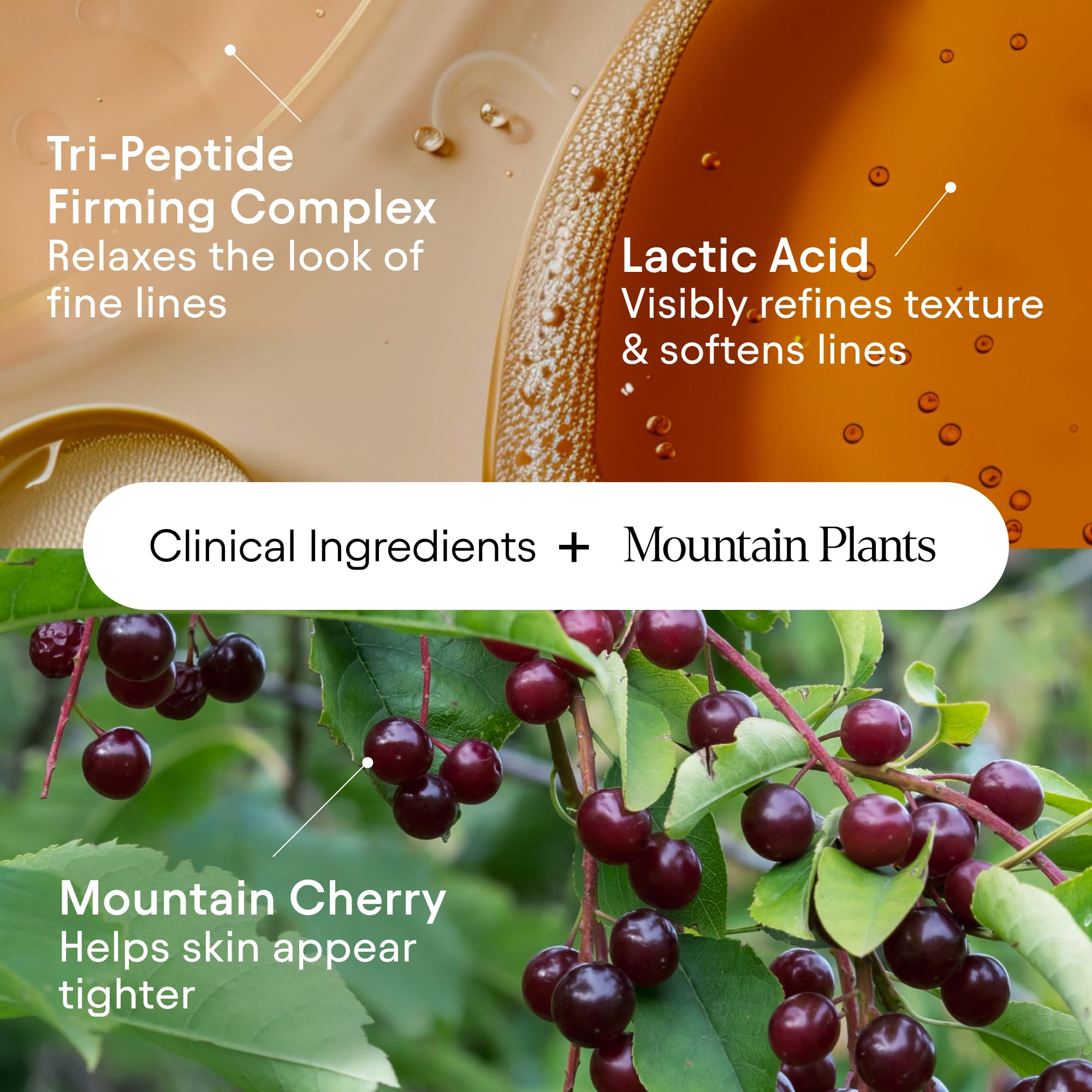 Extracto de cereza silvestre en ALPYN Super Sculpt Suero aporta nutrición suave.