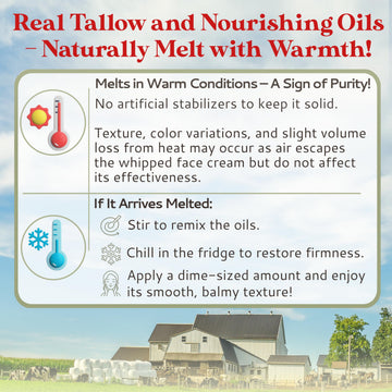 Amish Farms Tallow Face Cream application for daily skincare routine.