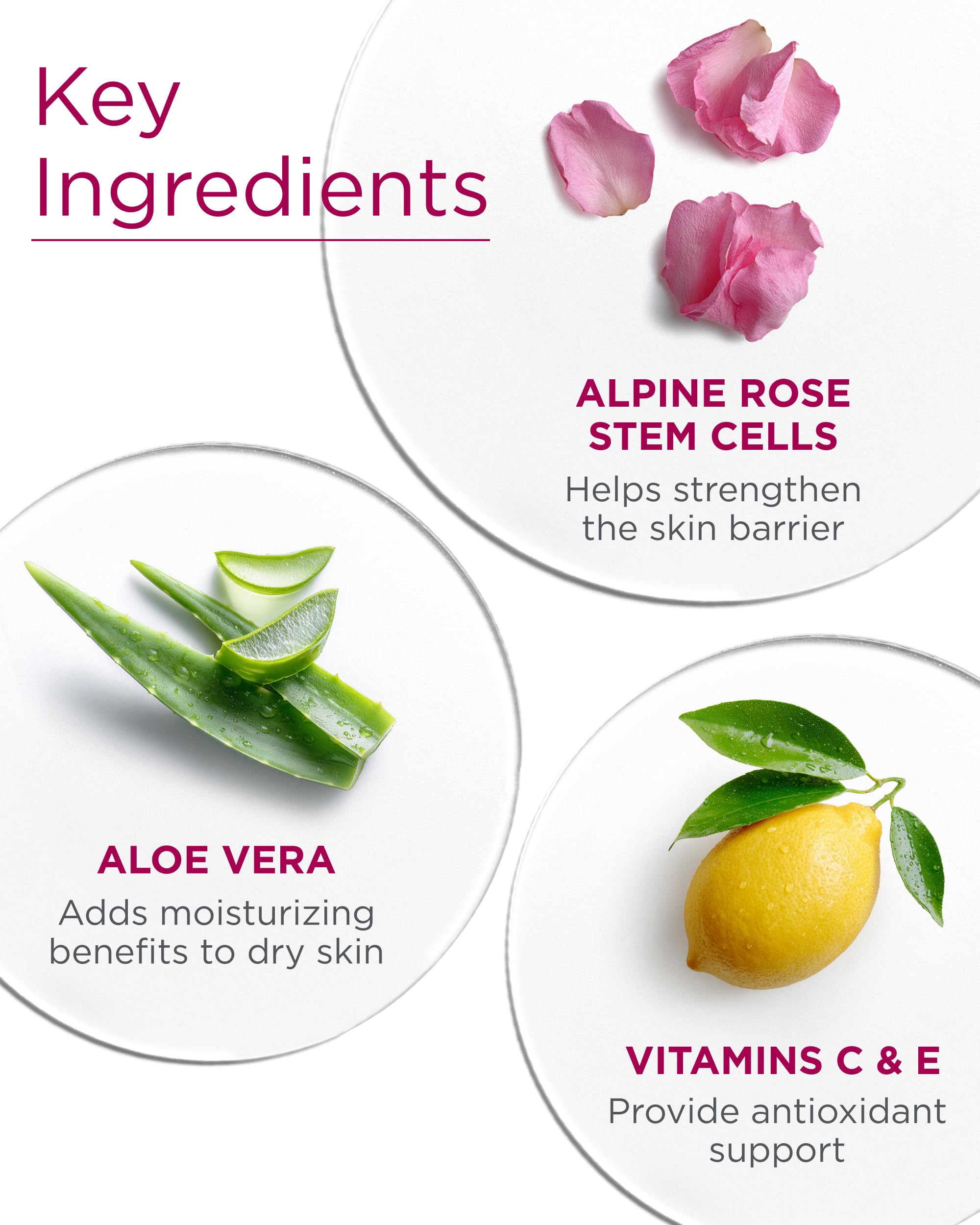 Células madre de rosa alpina para aspecto revitalizado.