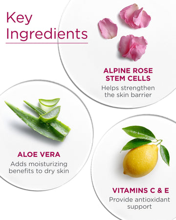 Células madre de rosa alpina para aspecto revitalizado.