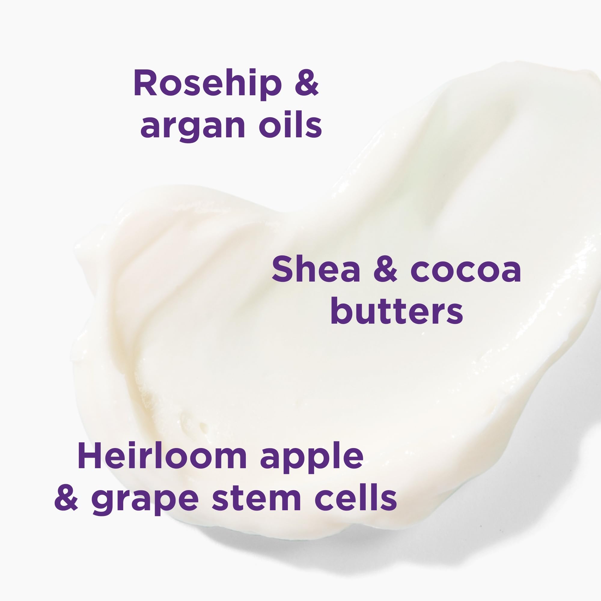 Aloe vera de Andalou Naturals en hoja, ingrediente natural para calmar la piel