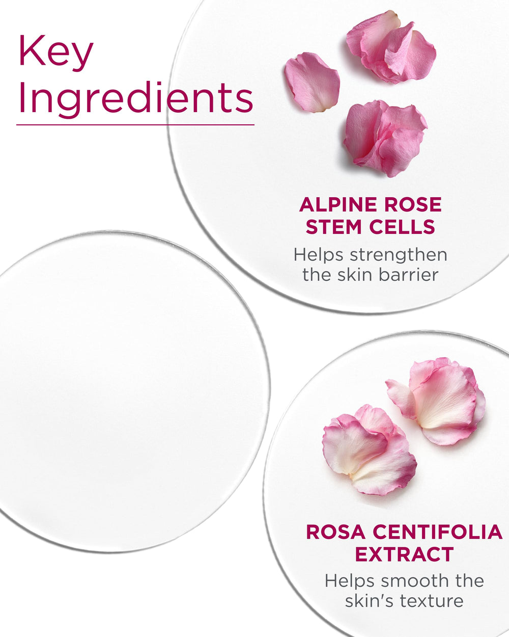 Andalou Naturals aplicación diaria rostro y cuello con fragancia suave
