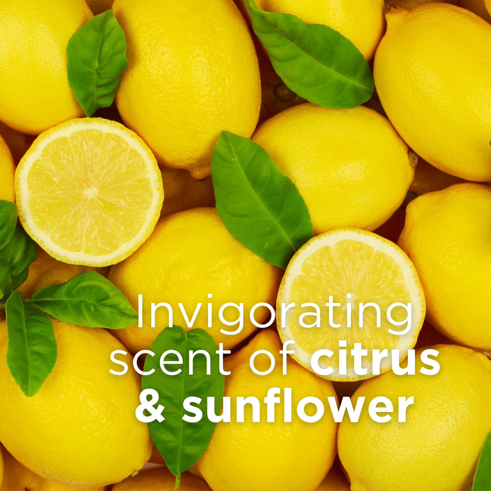 Andalou Naturals Citrus Sunflower, aceite de albaricoque nutre la piel