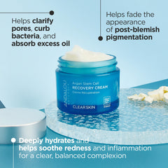 Andalou Naturals ingredientes naturales argan aloe: apoyo suave para piel sensible.