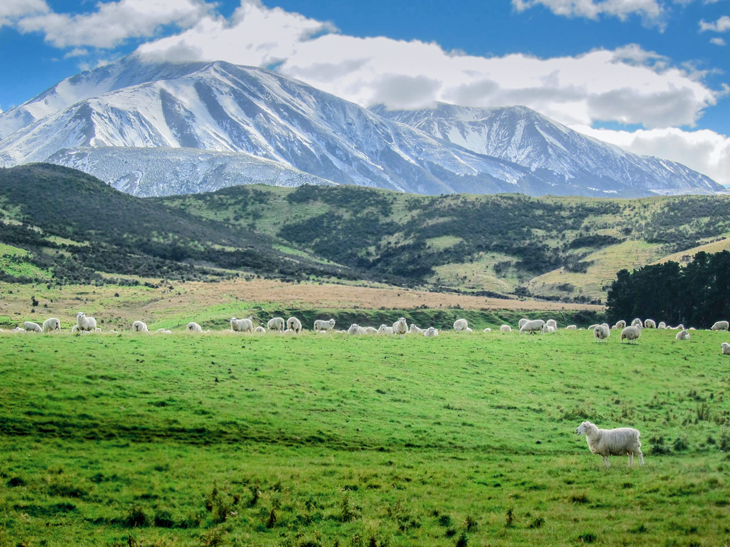 Textura cremosa de Antler Farms Lanolina para piel seca