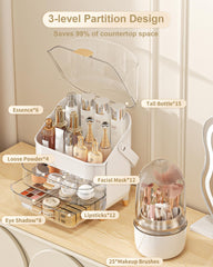Espacio para labiales, sombras y brochas en el organizador Anylady