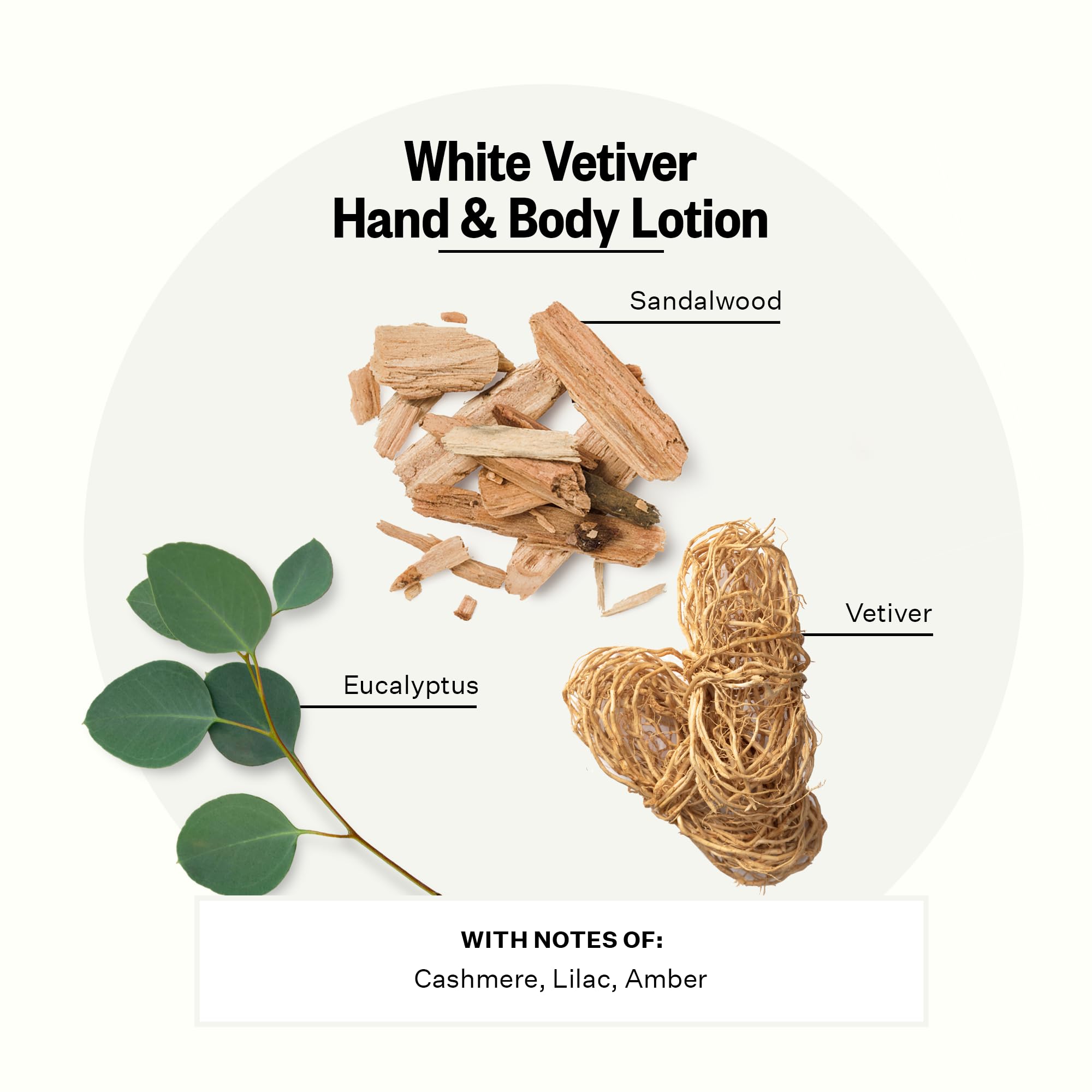 APOTHEKE Loción Vetiver Blanco: etiqueta detalle, aroma elegante que distingue tu rutina.