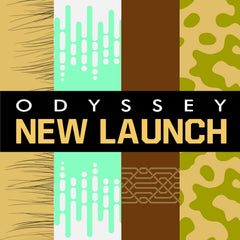 Odyssey Wild One Gold Edition de Armaf, estilo de vida para uso diario nocturno.