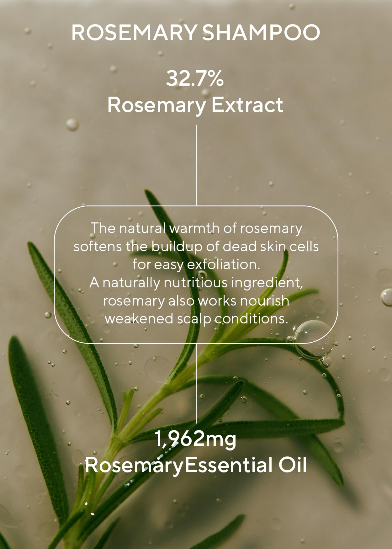 AROMATICA Romero Aceite Esencial: aroma herbal para bienestar diario