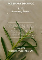 AROMATICA Romero Aceite Esencial: aroma herbal para bienestar diario