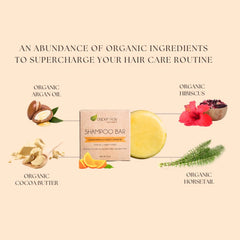 Champú sólido de Aspen Kay Naturals, hecho en EE. UU.