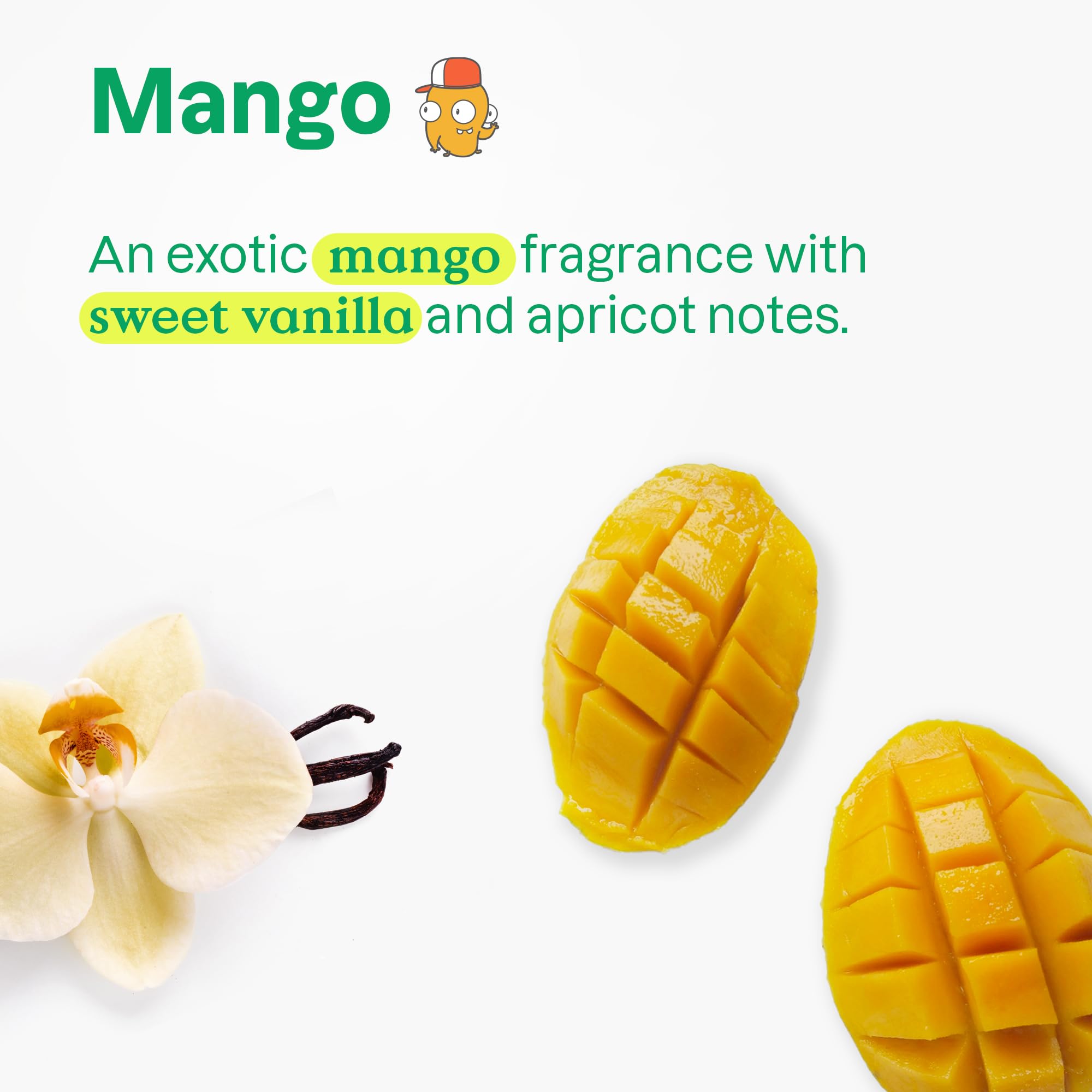 ATTITUDE Little Leaves Mango: ingredientes naturales como hoja de arándano para cabello protegido
