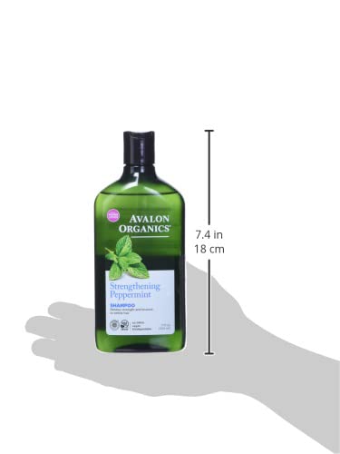 Aceite de babassu en fórmula Avalon Organics aporta brillo y nutrición