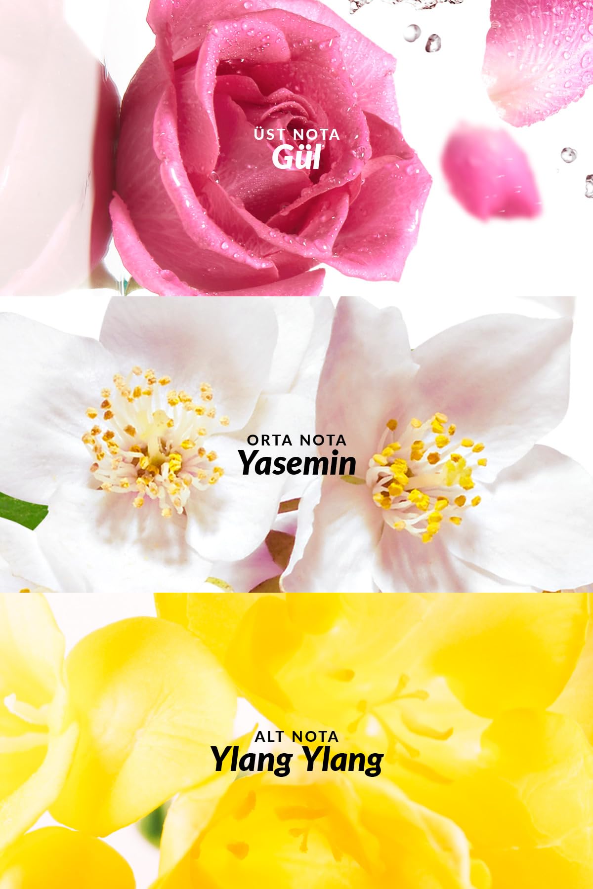 AVON Soft Musk notas-sensoriales: sensación envolvente para tu día.