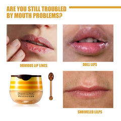 Axnzp Honey Pot Lip Balm open jar close-up shows easy access and shine