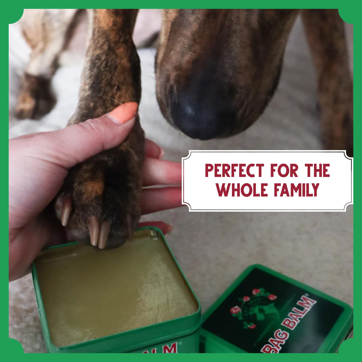 Hecho en Vermont: Bag Balm cuida perros, gatos y otros animales