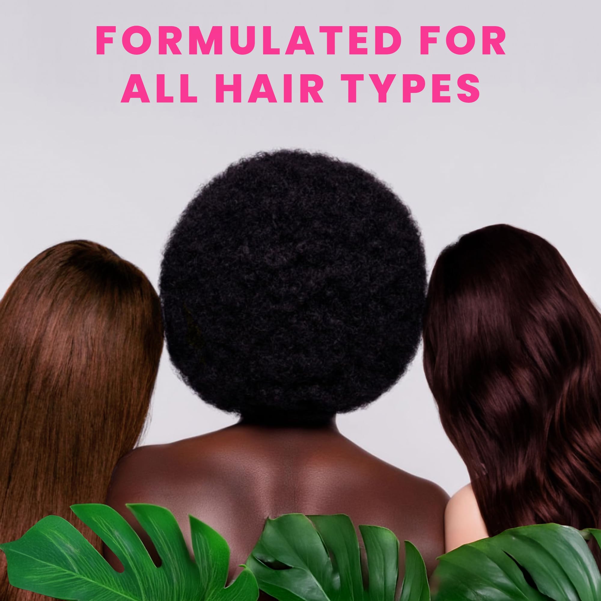 Ingredients visual featuring avocado, macadamia, and argan oils